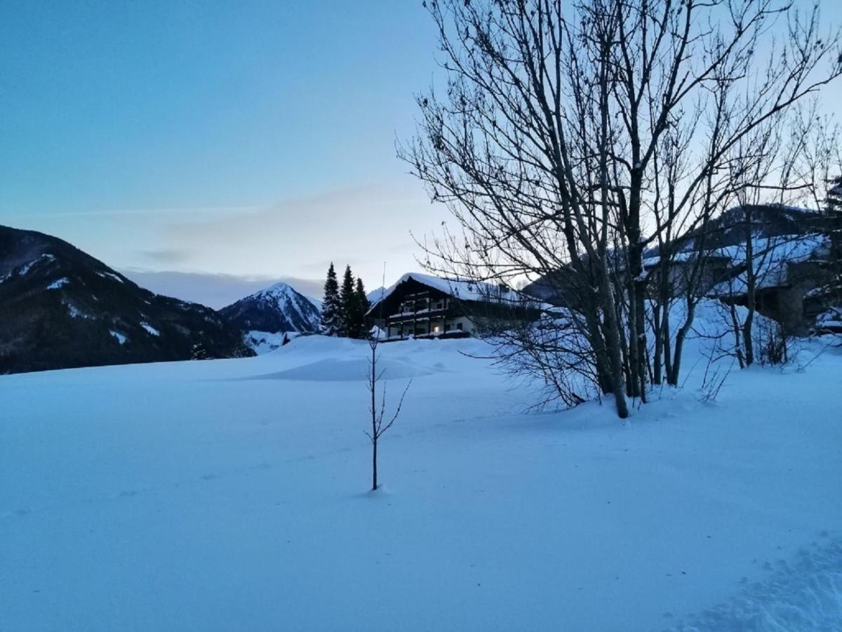 Ferienwohnung Sonniges Platzl Zur ehrlichen Kuh Schladming Exterior foto